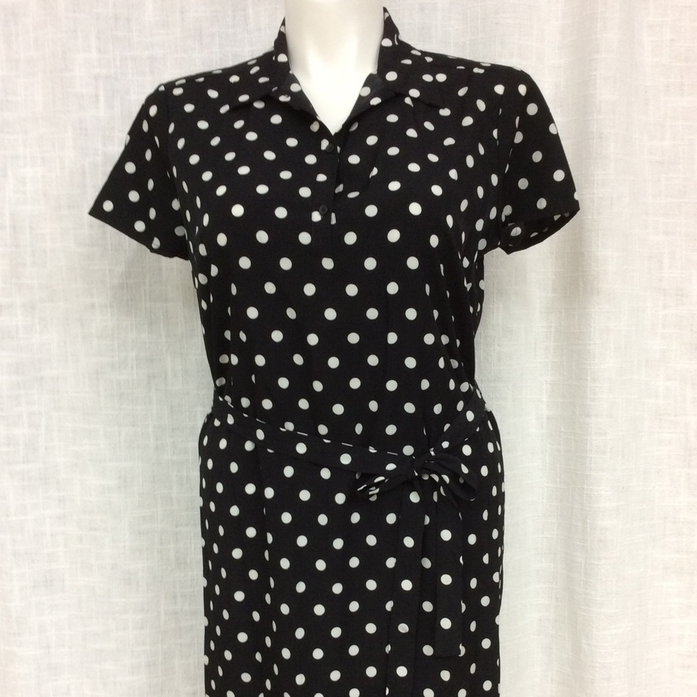 Ann Taylor Short Sleeve Black & White Dress